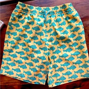 Boys swim trunks - new with tags. Never worn.